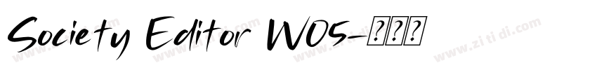 Society Editor W05字体转换